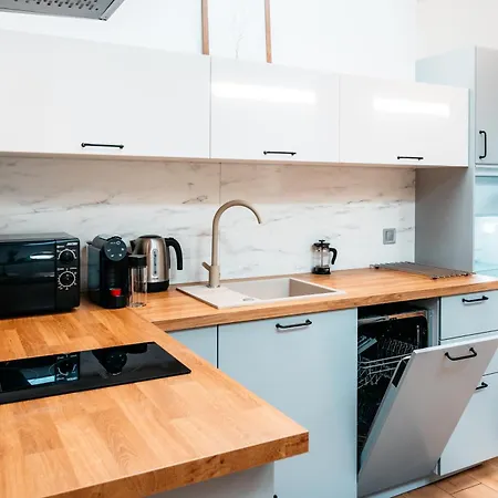 Apartment Silesian Attic Centrum Ac Parking By Stayly Szczecin